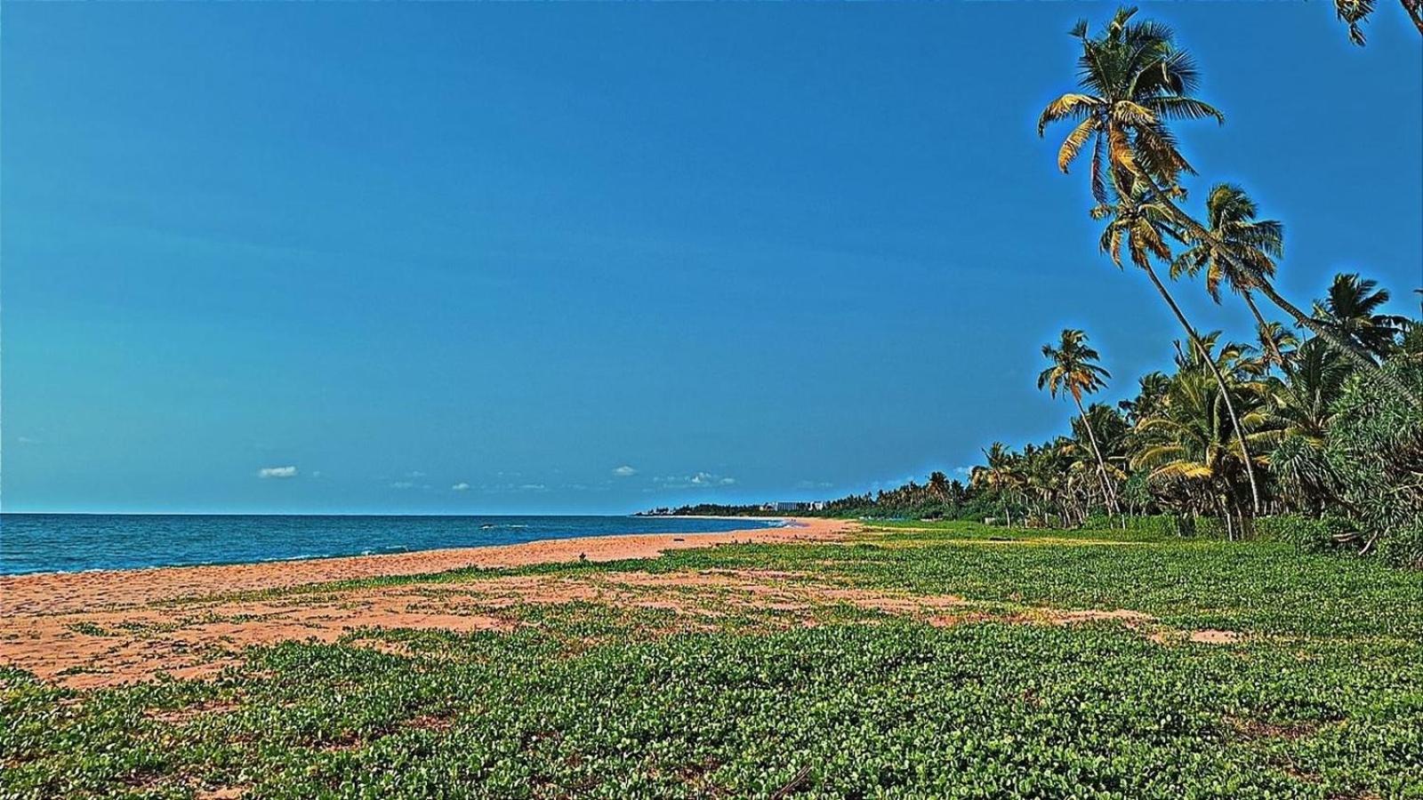 Raja Beach Hotel Balapitiya Kültér fotó