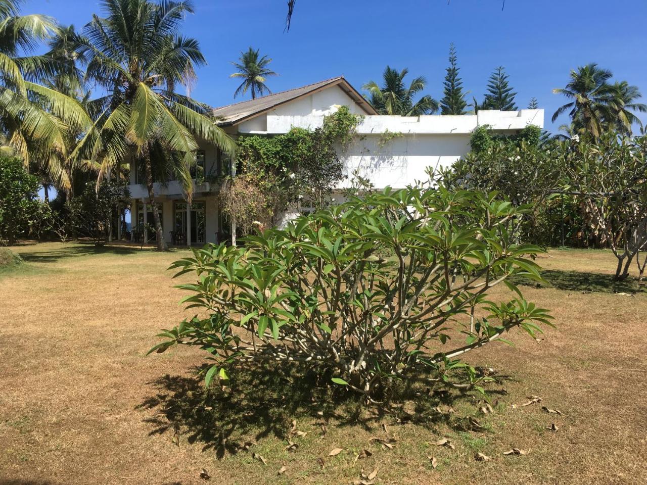 Raja Beach Hotel Balapitiya Kültér fotó